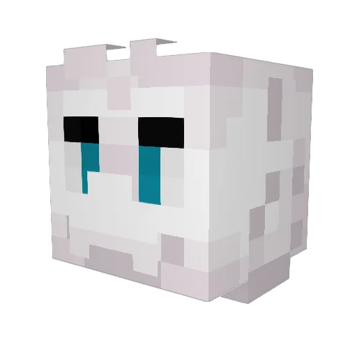 Jagspasm Minecraft avatar head, 3D render