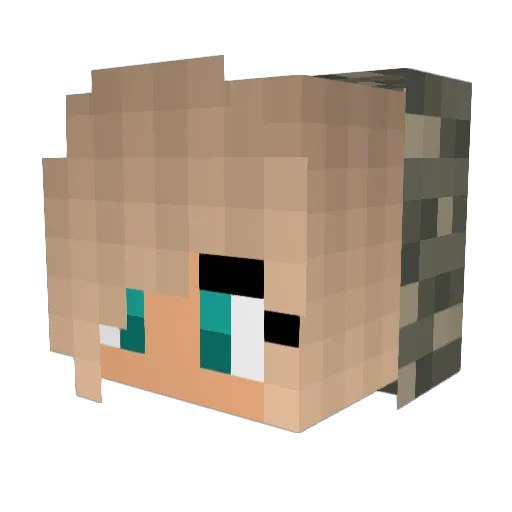 JaguWater Minecraft avatar head, 3D render