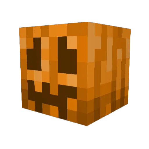 Jaguar353 Minecraft avatar head, 3D render