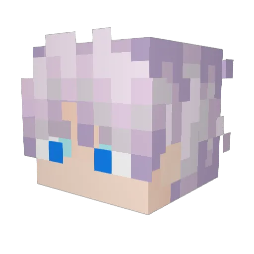 Jagweys Minecraft avatar head, 3D render