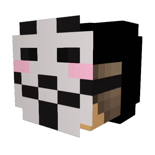Jahnu08 Minecraft avatar head, 3D render