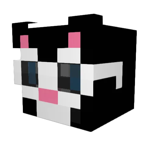 Jahzh Minecraft avatar head, 3D render
