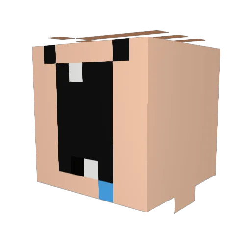 JaiDoody Minecraft avatar head, 3D render