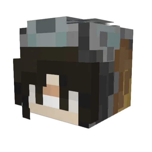 Jai_Bee Minecraft avatar head, 3D render