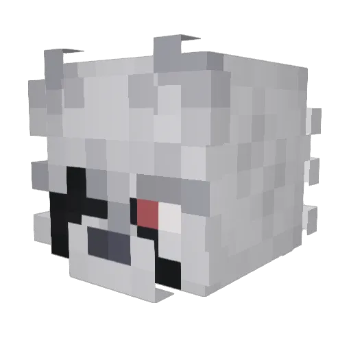 Jaidel20 Minecraft avatar head, 3D render