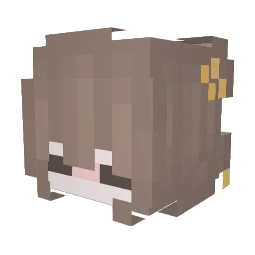 Jaiden56 Minecraft avatar head, 3D render
