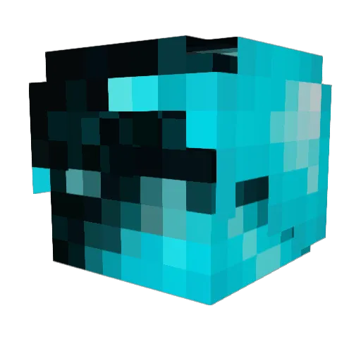 JaidenRey Minecraft avatar head, 3D render