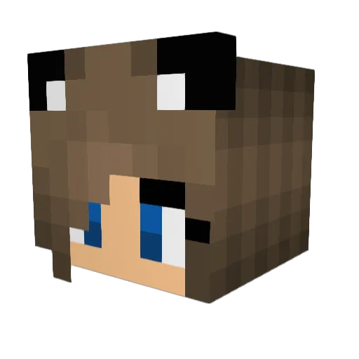 Jaiden_1 Minecraft avatar head, 3D render