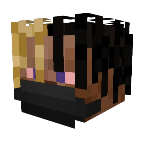Jaidyz Minecraft avatar head, 3D render