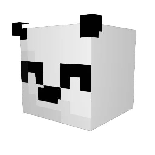 Jaiims Minecraft avatar head, 3D render