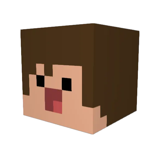 JailLow Minecraft avatar head, 3D render