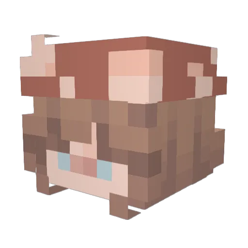 Jailala Minecraft avatar head, 3D render