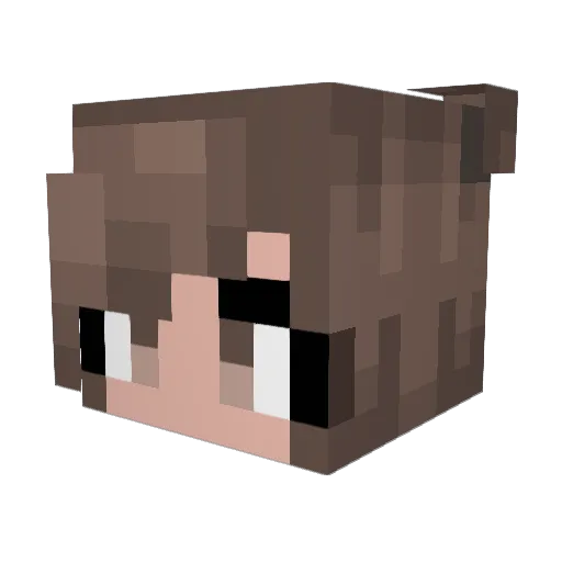 Jaimee6 Minecraft avatar head, 3D render