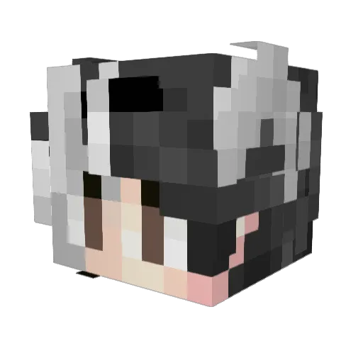 Jaimiewk Minecraft avatar head, 3D render