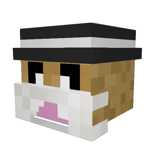 Jaimoton Minecraft avatar head, 3D render