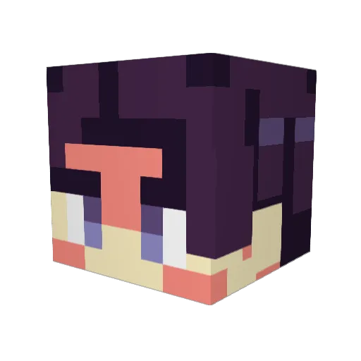 Jaiplay255 Minecraft avatar head, 3D render