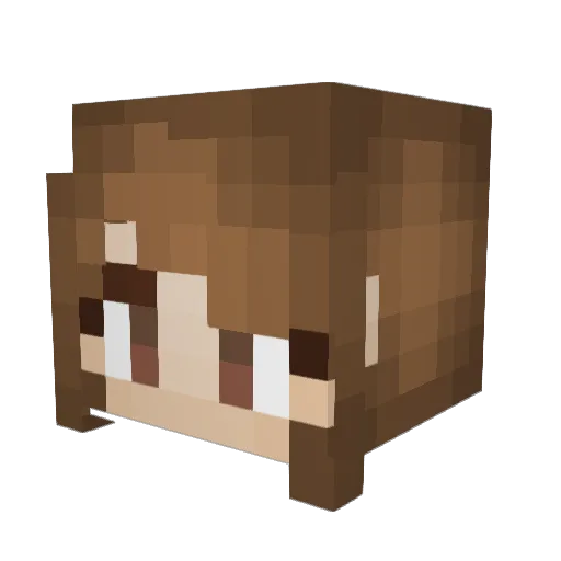 Jair40 Minecraft avatar head, 3D render