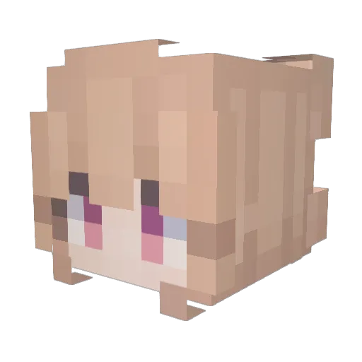 Jairomy Minecraft avatar head, 3D render