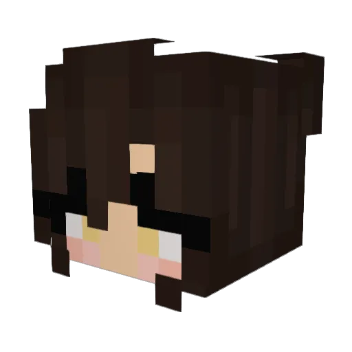 Jairri Minecraft avatar head, 3D render