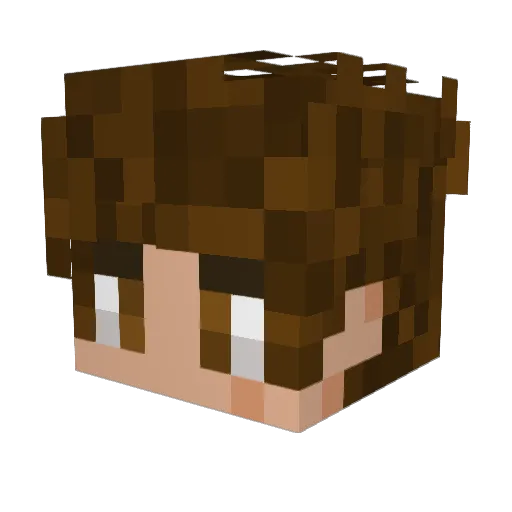 JairtjePapiertje Minecraft avatar head, 3D render