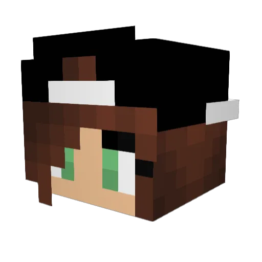 Jaisai Minecraft avatar head, 3D render