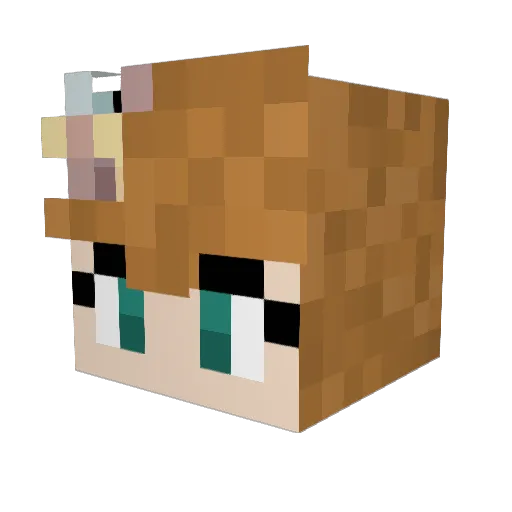 Jaisalyn Minecraft avatar head, 3D render