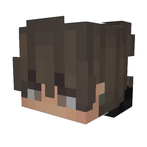 JaiseTheBest Minecraft avatar head, 3D render