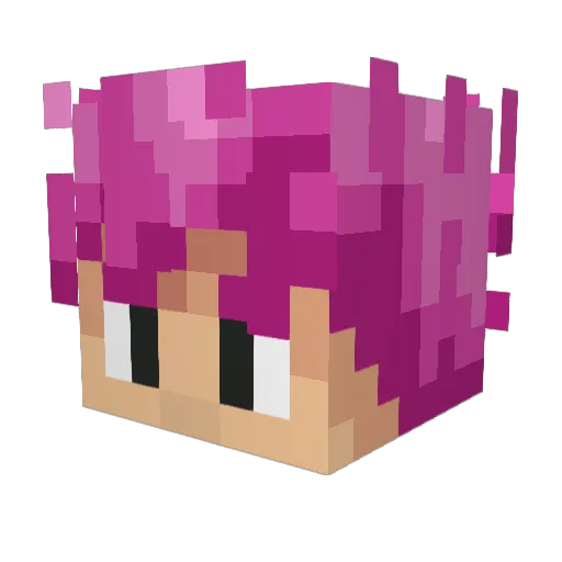 Jaiveer___ Minecraft avatar head, 3D render