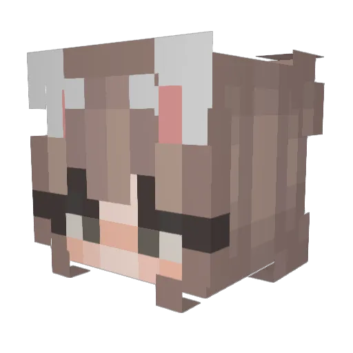 Jajajaiden Minecraft avatar head, 3D render