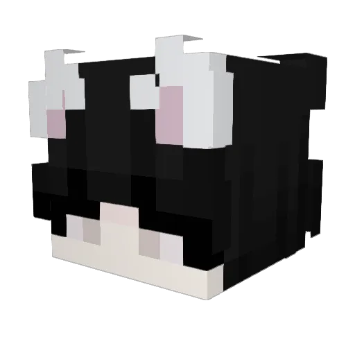 Jak_3_ Minecraft avatar head, 3D render