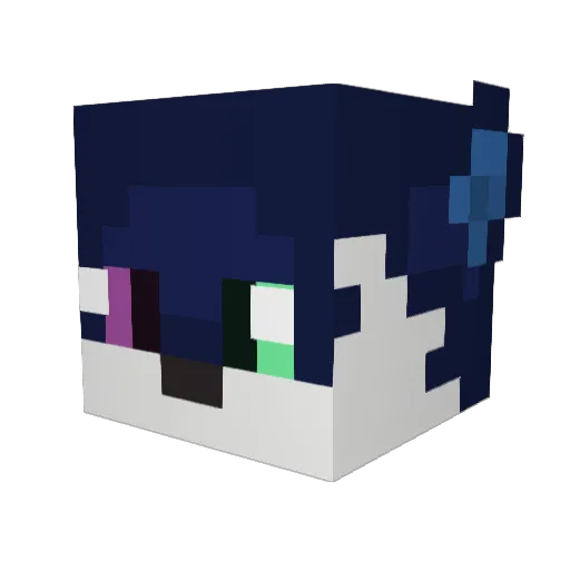 JakaJr Minecraft avatar head, 3D render