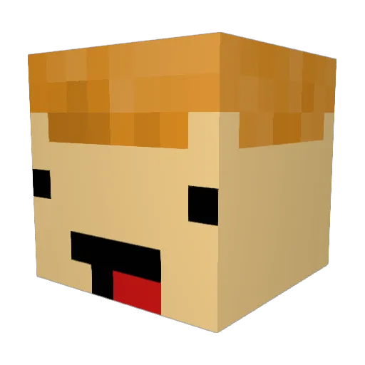 Jakachoo1 Minecraft avatar head, 3D render