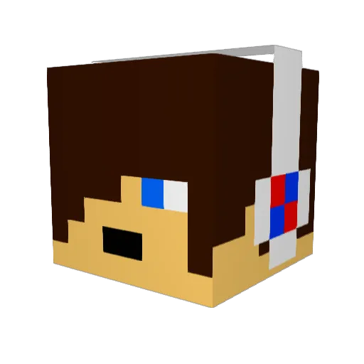 Jakamaru Minecraft avatar head, 3D render