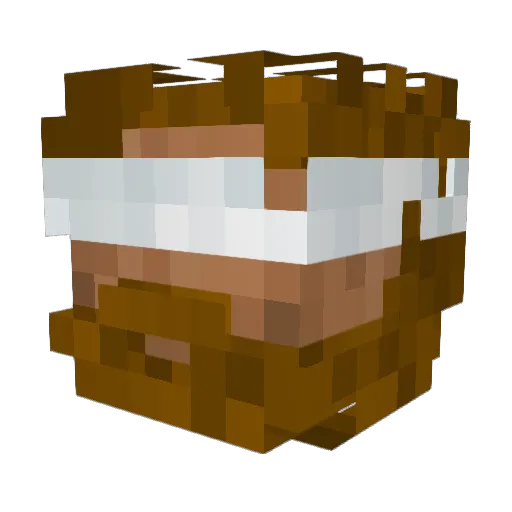 Jakawon Minecraft avatar head, 3D render