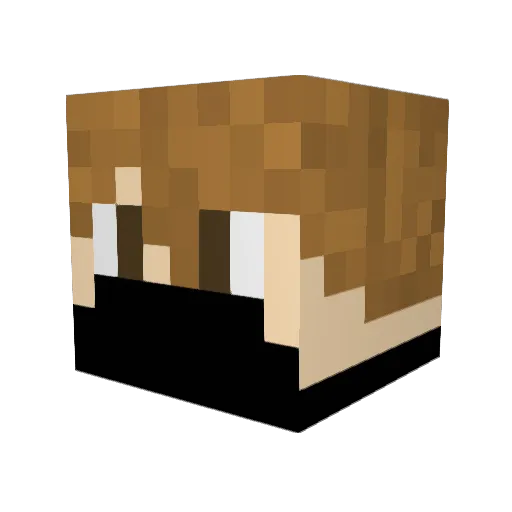 Jakci8862 Minecraft avatar head, 3D render