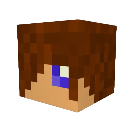 Jake0722 Minecraft avatar head, 3D render