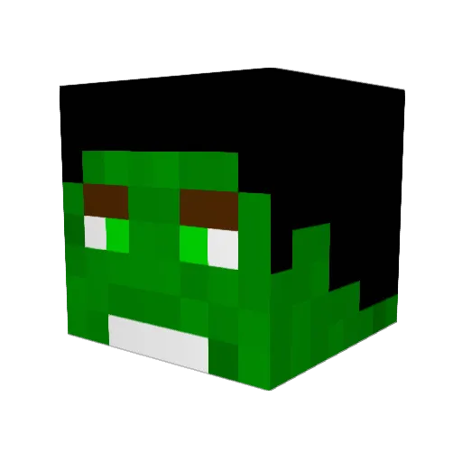 Jake11j Minecraft avatar head, 3D render
