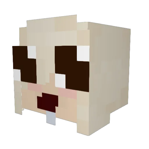 Jake1231 Minecraft avatar head, 3D render