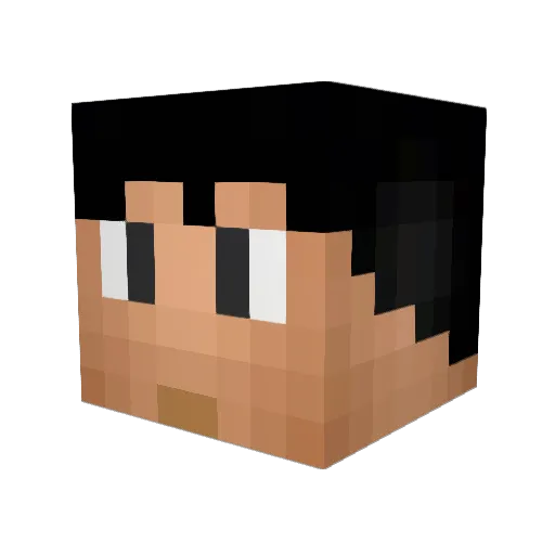 Jake13121 Minecraft avatar head, 3D render