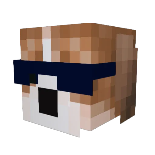Jake4343 Minecraft avatar head, 3D render