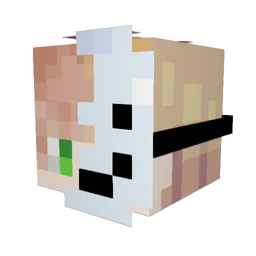 Jake46110 Minecraft avatar head, 3D render
