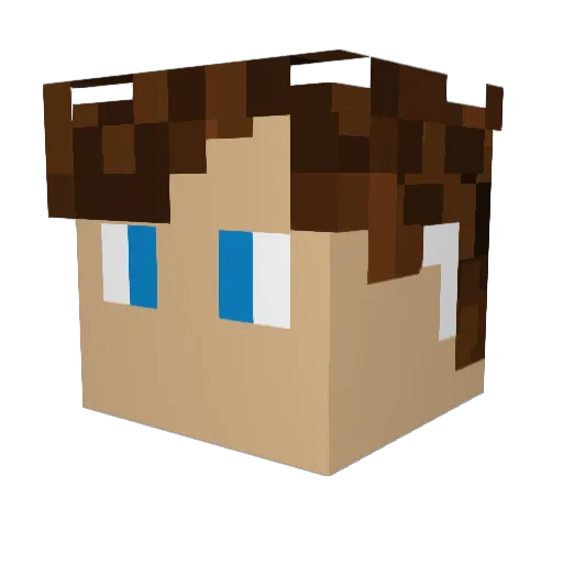 JakeAdams1014 Minecraft avatar head, 3D render
