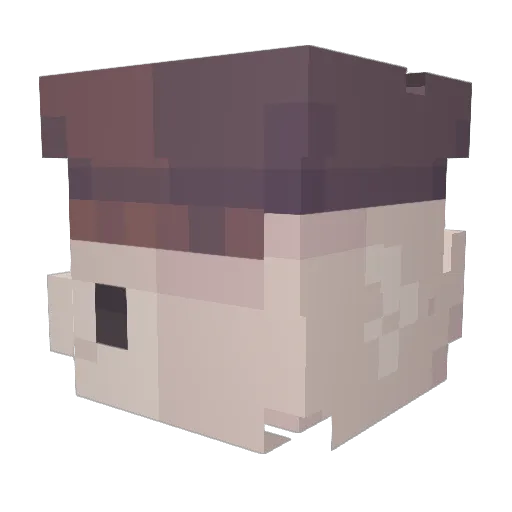 JakeAfton Minecraft avatar head, 3D render
