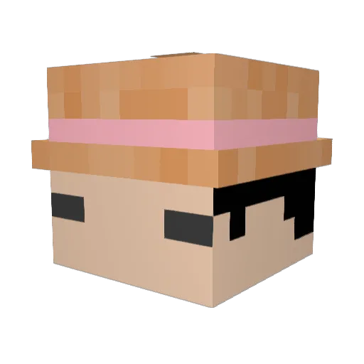 JakeExistSorta Minecraft avatar head, 3D render