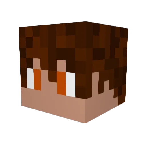 JakeHurricane22 Minecraft avatar head, 3D render