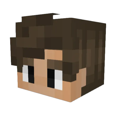 JakeNpE Minecraft avatar head, 3D render