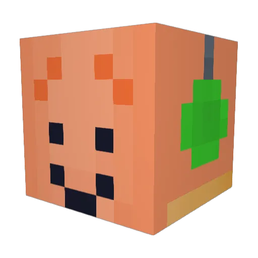 JakeOnADucky Minecraft avatar head, 3D render