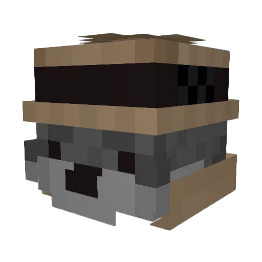 JakeRoney Minecraft avatar head, 3D render