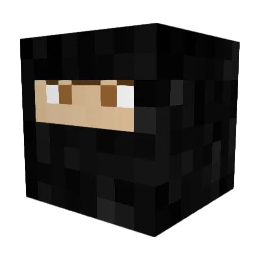 JakeSayYes Minecraft avatar head, 3D render