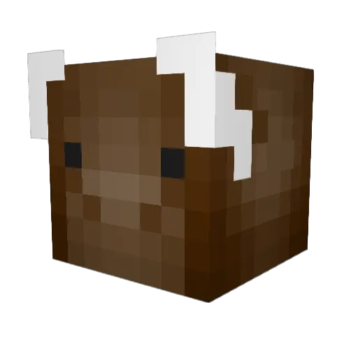 Jake_1231 Minecraft avatar head, 3D render